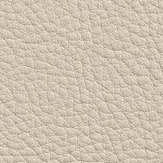 Beige Leather