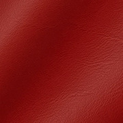 Ferrari Red Leather
