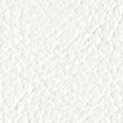 White ice Leather