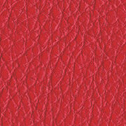 Red Leather