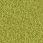 Green Apple Leather