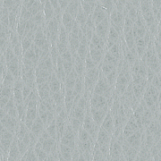 Ice Grey Leather