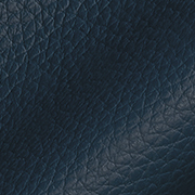 Blue Leather