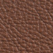 Coffee Leather