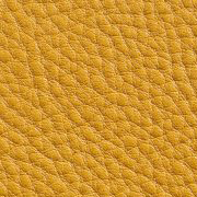 Yellow Leather