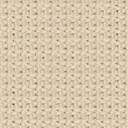Beige Membrane
