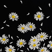 Moschino Daisies
