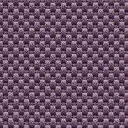Nova Violet