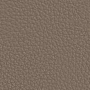 Cappuccino Leather