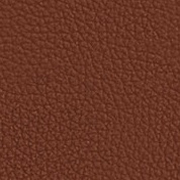 Brick Leather