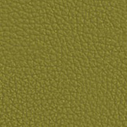 Green Apple Leather