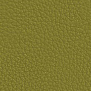 Green Apple Leather