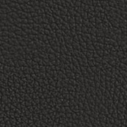 Black Leather