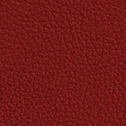 Red Leather