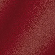 Burned Red Leather