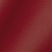 Red Leather