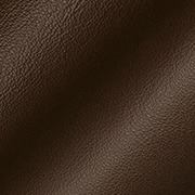 Brown Leather