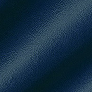 Blue Leather