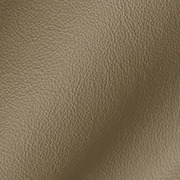 Taupe Leather