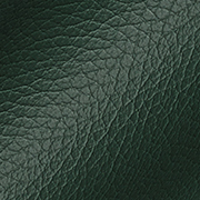 Green Leather